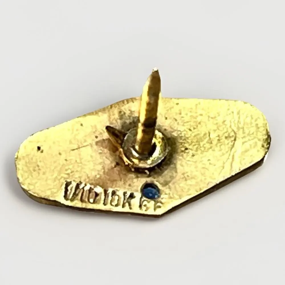 Vintage Medicenters 10K Gold Filled Lapel Pin Blue Sapphire Medical Service Pin